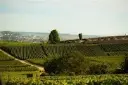 epernay 2.webp